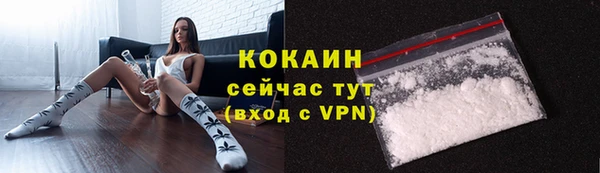 спиды Арсеньев