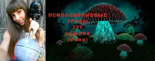 спиды Арсеньев