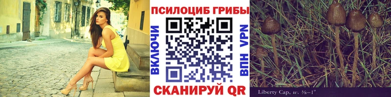 Псилоцибиновые грибы MAGIC MUSHROOMS  Сорск 